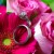 Bride and groom's rings in flowers