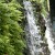 Waterfall and greenery